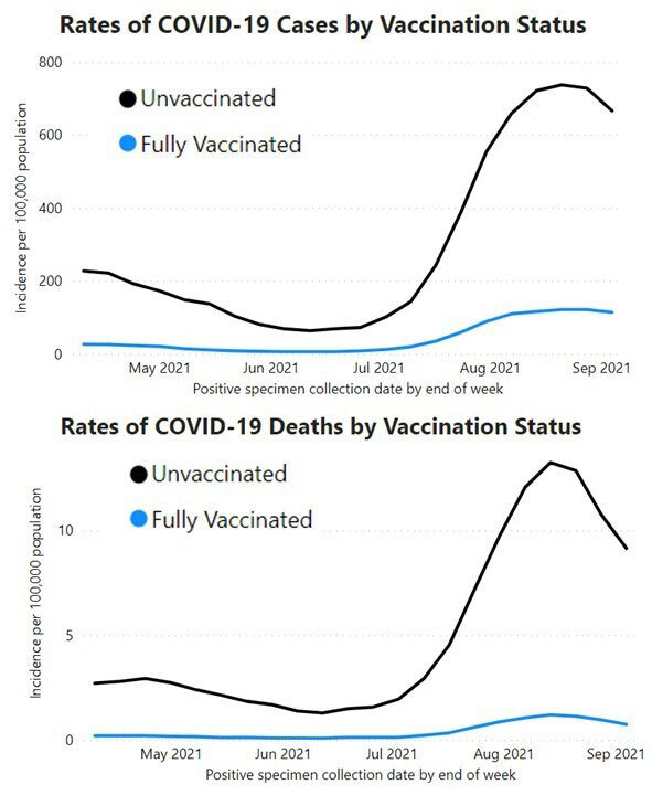 CDC-Breakthrough-Case-and-Death-Overall.jpg